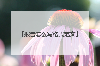 报告怎么写格式范文