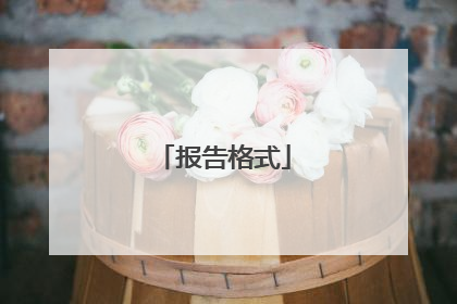 报告格式