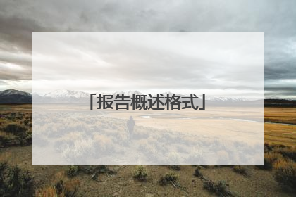 报告概述格式