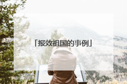 报效祖国的事例