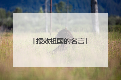 报效祖国的名言