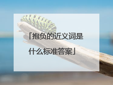 抱负的近义词是什么标准答案