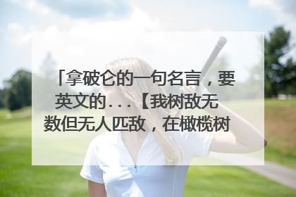 拿破仑的一句名言,要英文的...【我树敌无数但无人匹敌,在橄榄树的绿荫下,他们说意大利不能征服...】