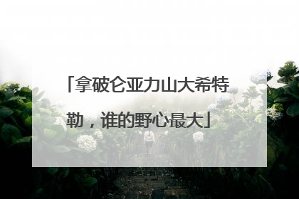 拿破仑亚力山大希特勒,谁的野心最大