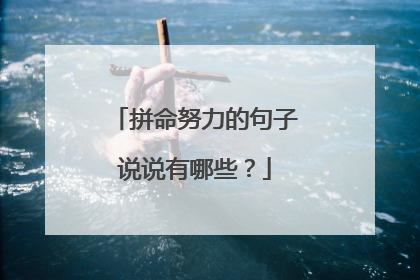 拼命努力的句子说说有哪些？