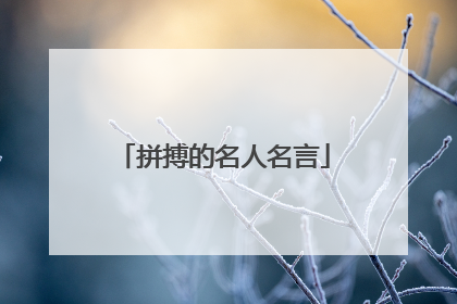 拼搏的名人名言