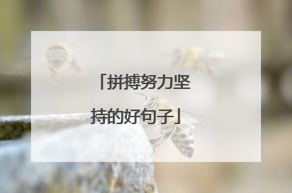 拼搏努力坚持的好句子