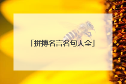 拼搏名言名句大全