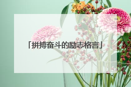 拼搏奋斗的励志格言