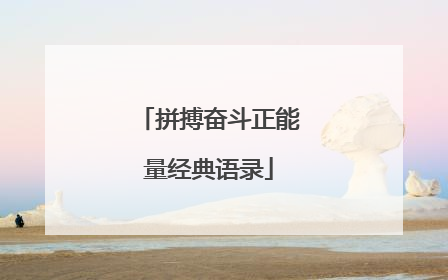 拼搏奋斗正能量经典语录