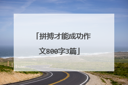 拼搏才能成功作文800字3篇