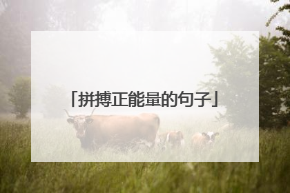 拼搏正能量的句子