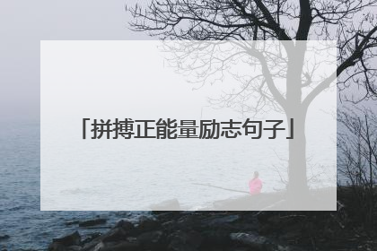 拼搏正能量励志句子