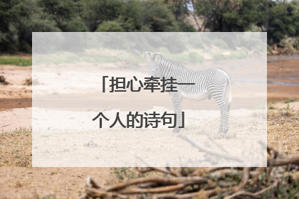 担心牵挂一个人的诗句