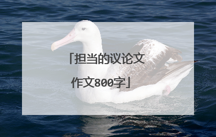 担当的议论文作文800字