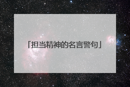 担当精神的名言警句