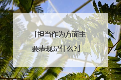 担当作为方面主要表现是什么?