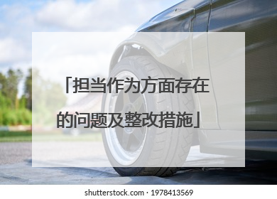 担当作为方面存在的问题及整改措施