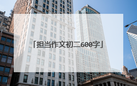 担当作文初二600字