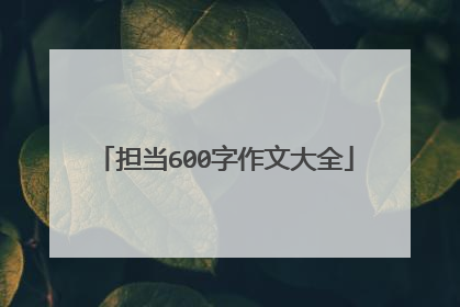 担当600字作文大全