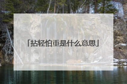 拈轻怕重是什么意思