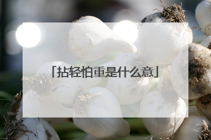 拈轻怕重是什么意