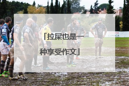 拉屎也是一种享受作文