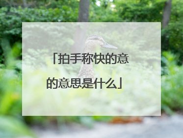 拍手称快的意的意思是什么