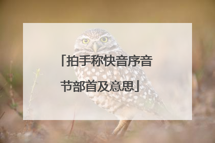 拍手称快音序音节部首及意思