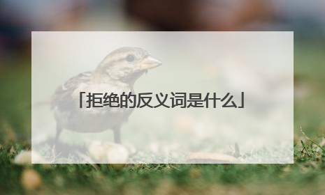 拒绝的反义词是什么