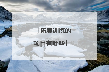 拓展训练的项目有哪些