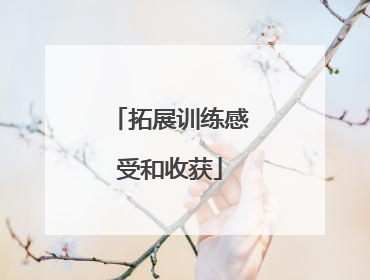 拓展训练感受和收获