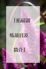 拓展训练项目及简介