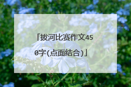 拔河比赛作文450字(点面结合)