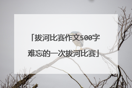 拔河比赛作文500字 难忘的一次拔河比赛