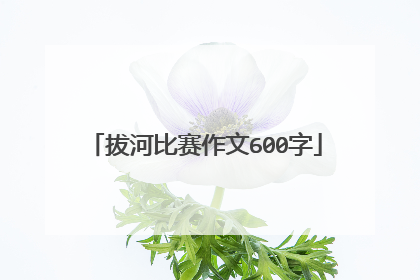 拔河比赛作文600字