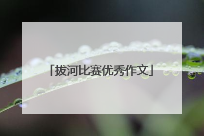 拔河比赛优秀作文