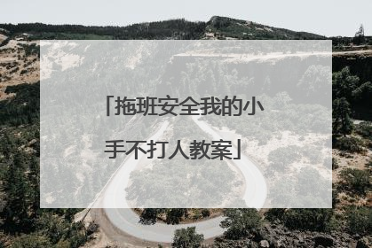 拖班安全我的小手不打人教案