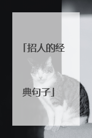 招人的经典句子