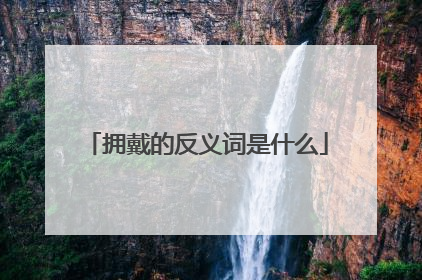 拥戴的反义词是什么