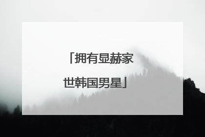 拥有显赫家世韩国男星