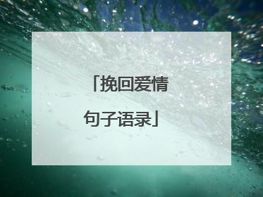 挽回爱情句子语录