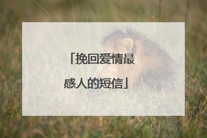 挽回爱情最感人的短信