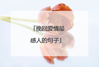 挽回爱情最感人的句子