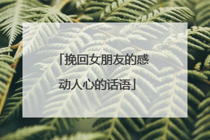 挽回女朋友的感动人心的话语