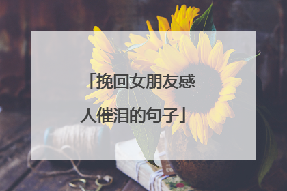 挽回女朋友感人催泪的句子