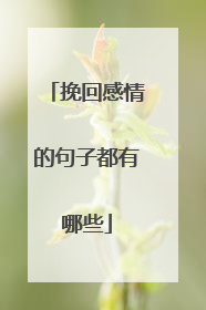 挽回感情的句子都有哪些