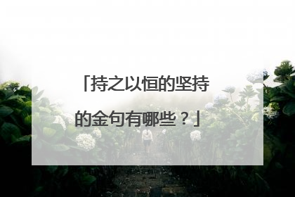 持之以恒的坚持的金句有哪些?