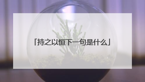 持之以恒下一句是什么