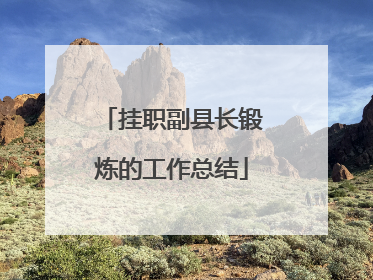 挂职副县长锻炼的工作总结